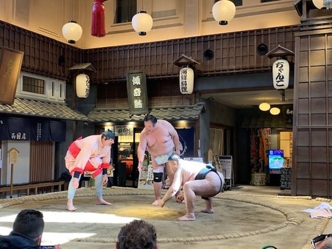 Witness professional sumo wrestlers up close!