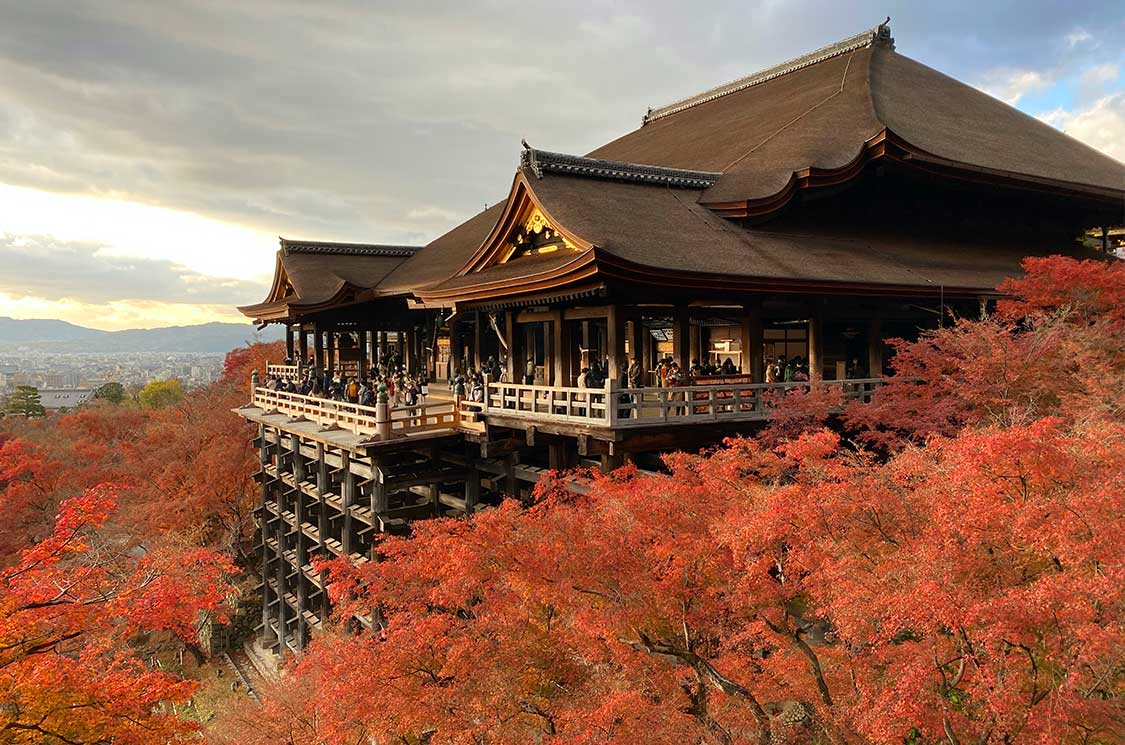 Japan Tours Japan Gourmet Travel Experience Autumn