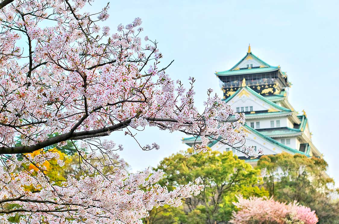 Japan Tours Japan Gourmet Travel Experience Cherry Blossom