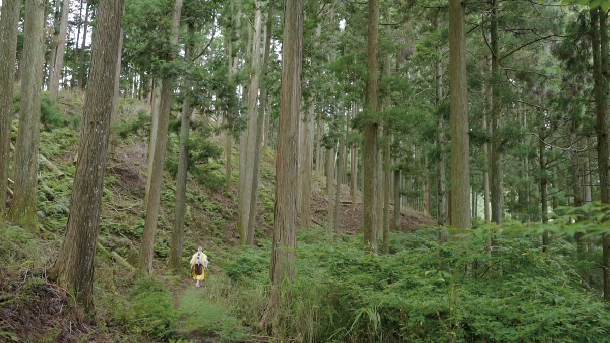 Follow the pilgrimage of Rigen Daishi, the founder of Omine Shugendo